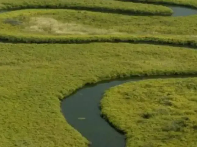 Países estudam acordos na agricultura e turismo