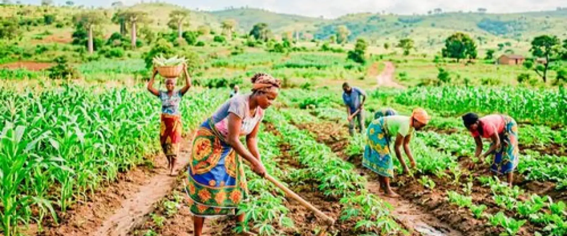 País conta com 90 mil toneladas de fertilizantes para ano agrícola 2026/2027