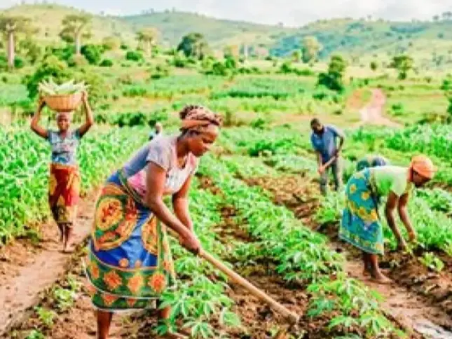 País conta com 90 mil toneladas de fertilizantes para ano agrícola 2026/2027
