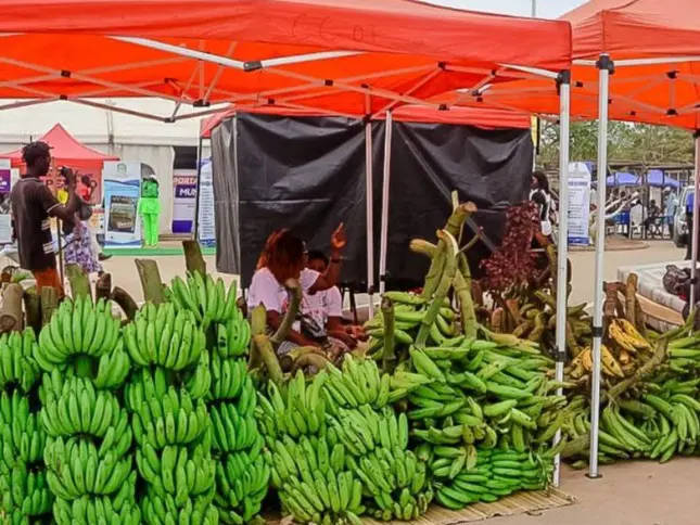 Expo Bengo 2026 reune mais de 600 expositores