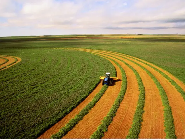 Portugal oferece transferência de tecnologia agrícola a Angola na feira Agritech de Luanda.