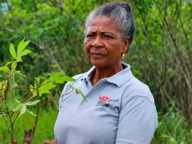 Da banca à mandioca: Teresa Mariz, a “Rainha da Mandioca de Angola”, entre as 100 mulheres heroínas da FAO